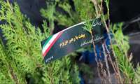  کاشت نهال امید به نیت شهدا