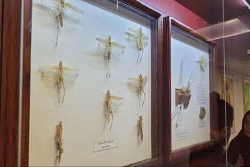 IMG_20260628_221224_311
