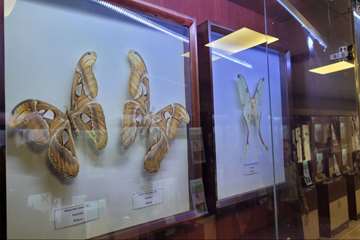 IMG_20260628_221229_256