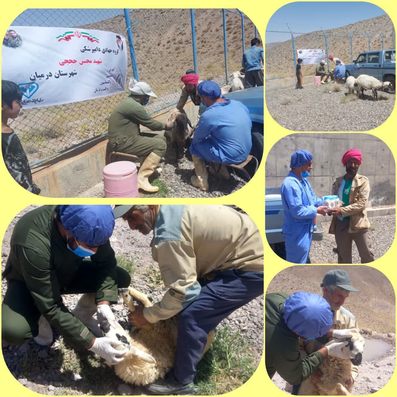 برگزاری رزمایش جهادی دامپزشکی در روستای خوان توسط گروه جهادی شهید حججی شبکه دامپزشکی شهرستان درمیان